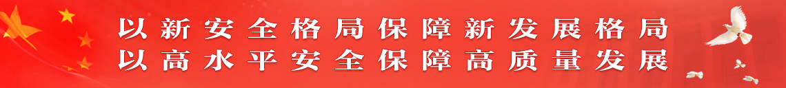 以新安全格局保障新发展格局  以高水平安全保障高质量发展(切换）