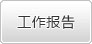 工作报告